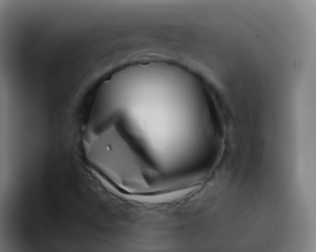X0000094331496200711161939