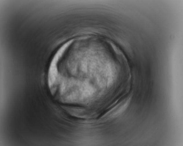 X0000094331497200711161939