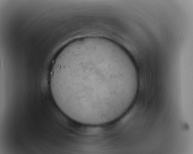 X0000094331498200711161939