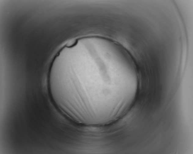 X0000094331500200711161939
