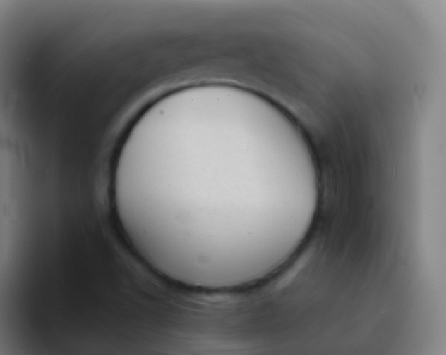 X0000094331502200711161939