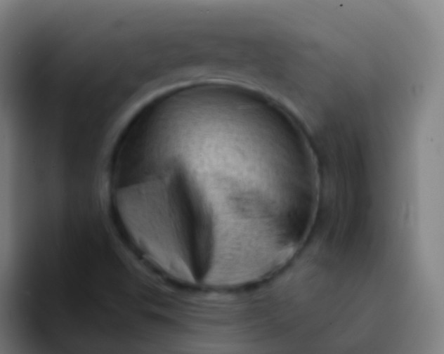 X0000094331503200711161939