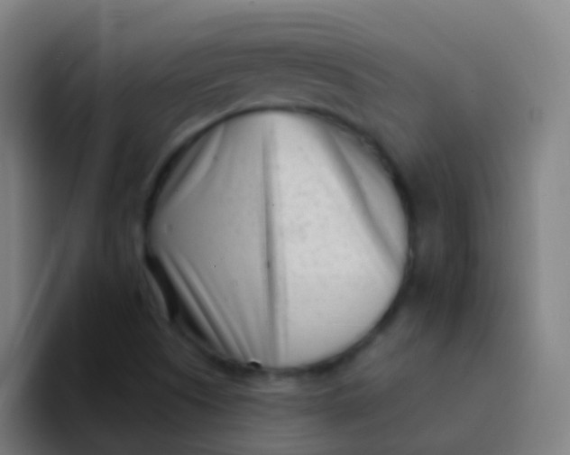 X0000094331505200711161939