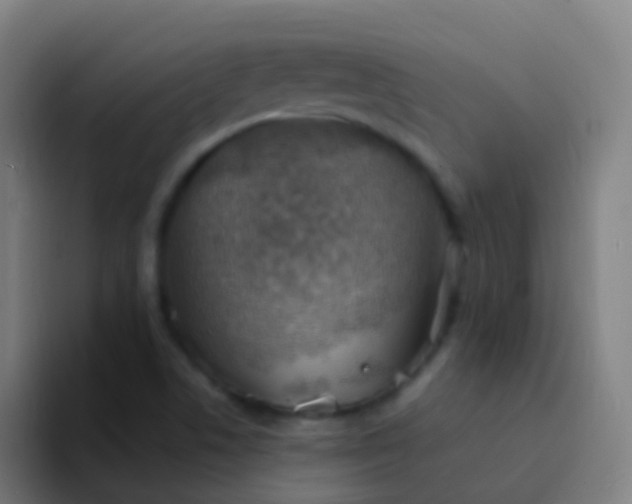 X0000094331506200711161939