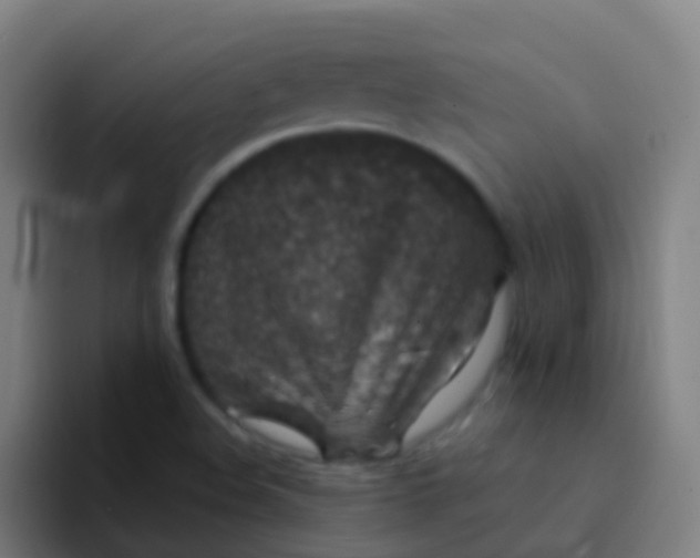 X0000094331508200711161939