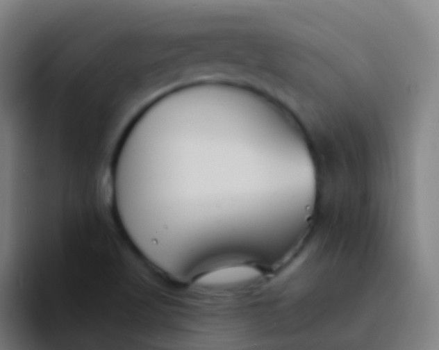 X0000094331509200711161939