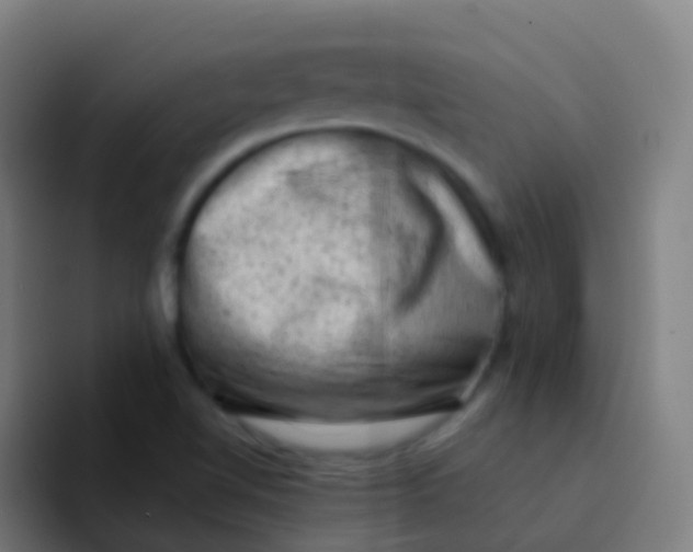 X0000094331510200711161939