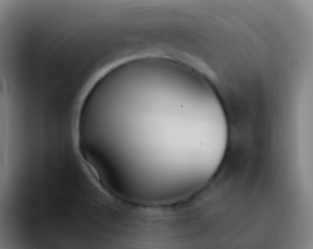 X0000094331512200711161939