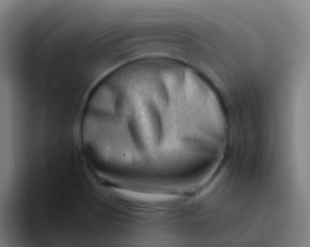 X0000094331513200711161939