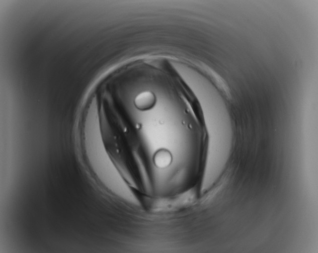 X0000094331514200711161939