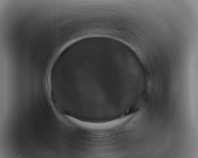 X0000094331515200711161939