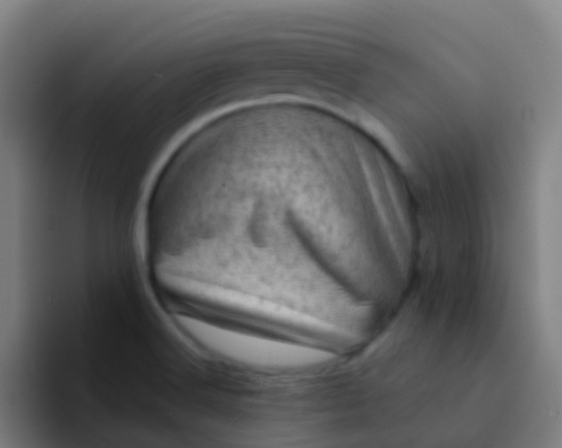X0000094331516200711161939