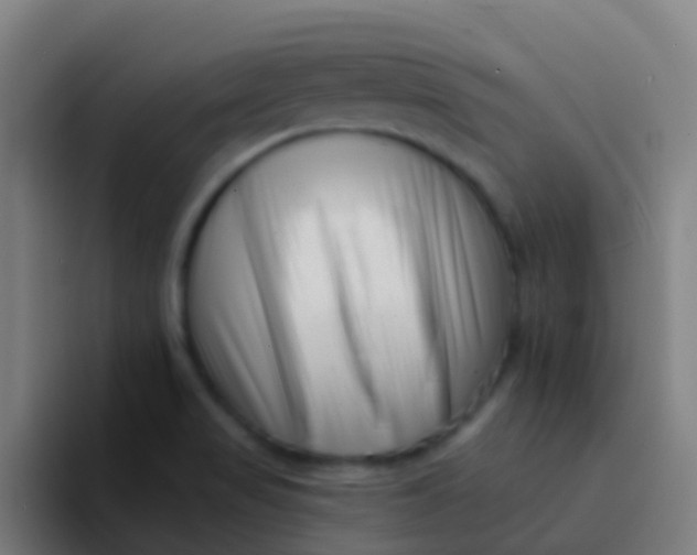 X0000094331517200711161939