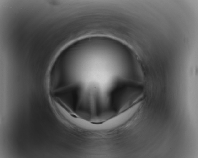 X0000094331519200711161939