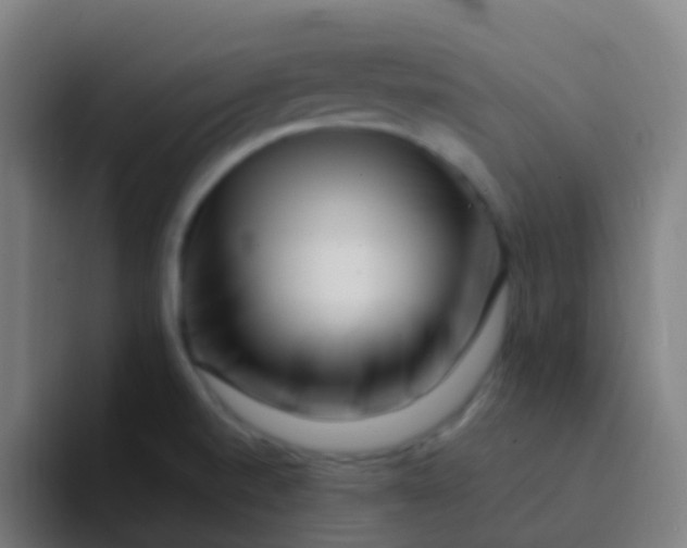 X0000094331520200711161939