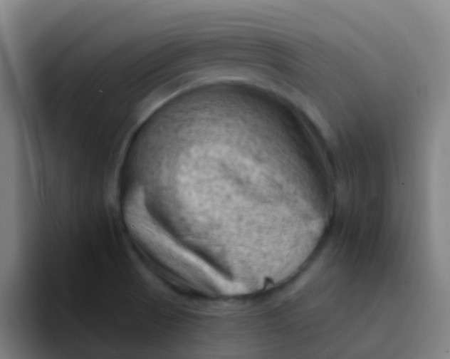 X0000094331521200711161939