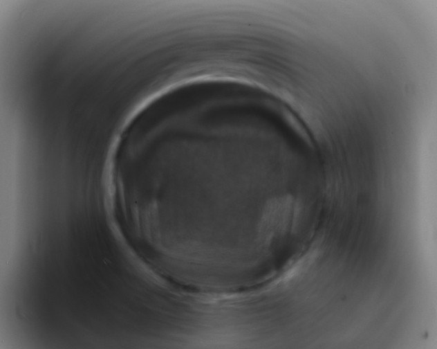X0000094331522200711161939