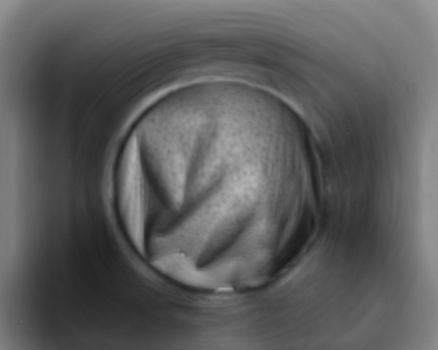 X0000094331523200711161939