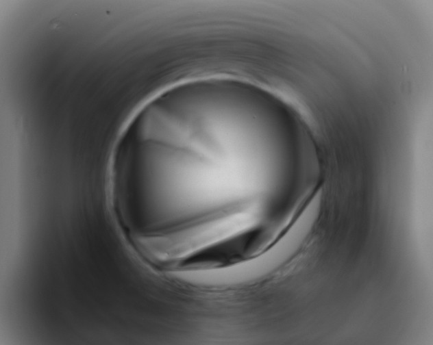 X0000094331524200711161939
