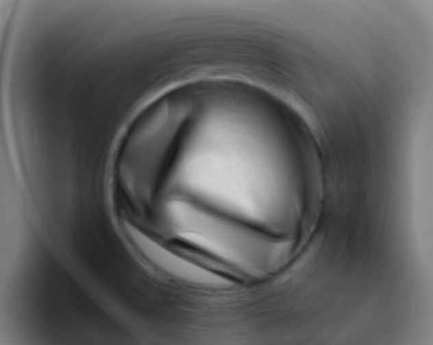 X0000094331525200711161939