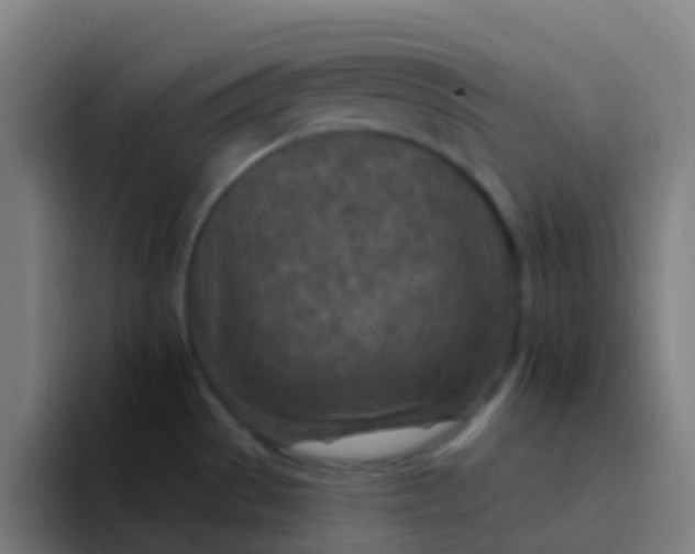 X0000094331529200711161939