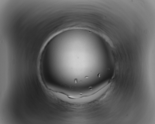 X0000094331530200711161939