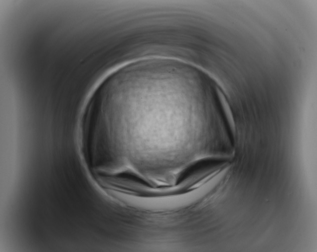 X0000094331531200711161940