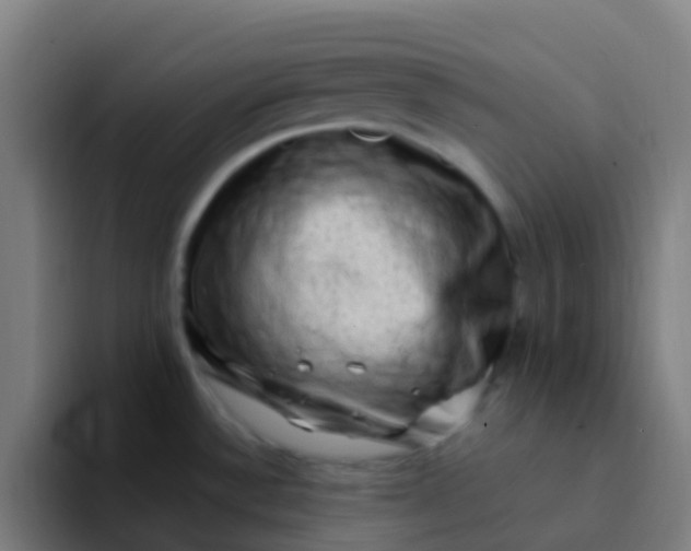 X0000094331532200711161940