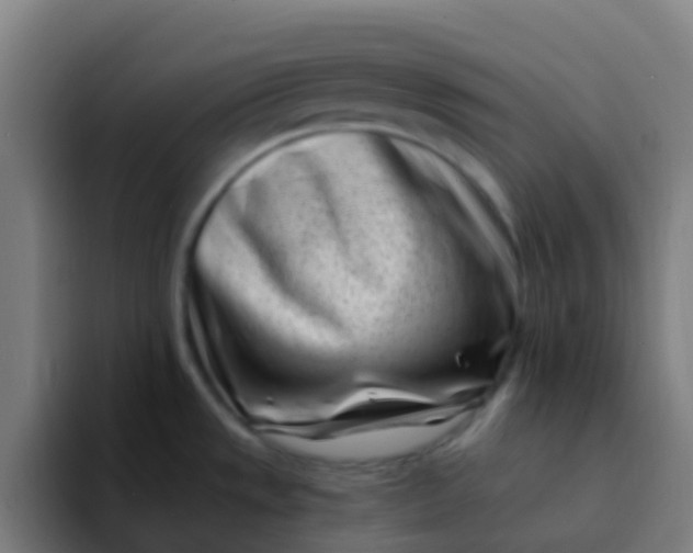 X0000094331533200711161940