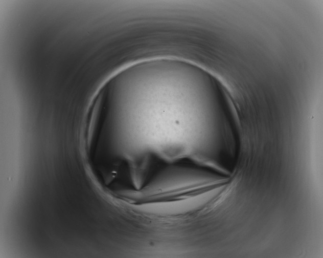 X0000094331534200711161940