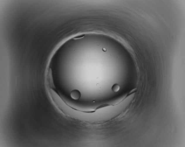 X0000094331536200711161940