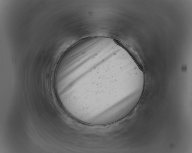 X0000094330001200711241839