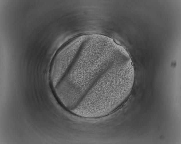 X0000094330002200711241839