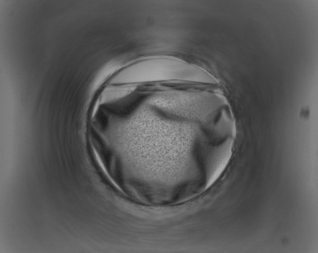 X0000094330006200711241839