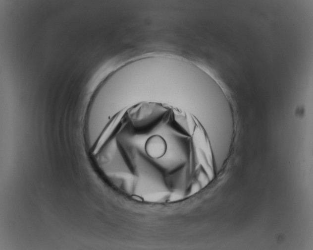 X0000094330007200711241839