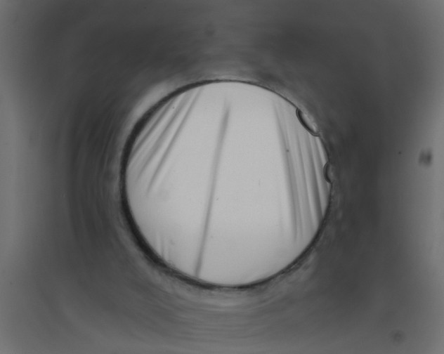 X0000094330008200711241839