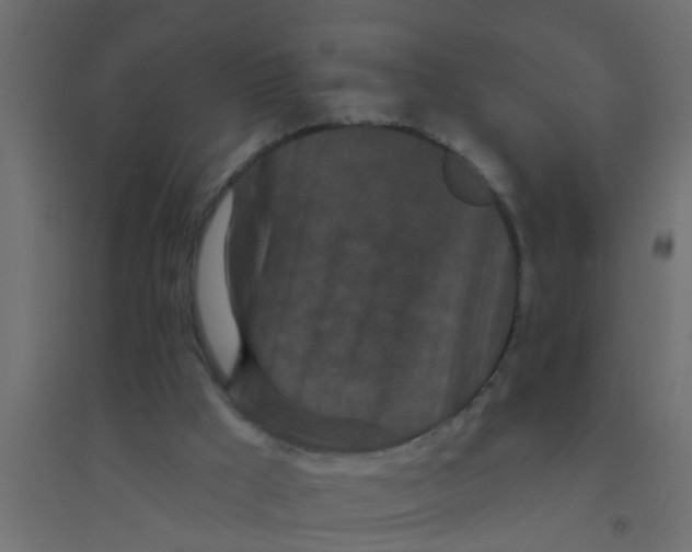 X0000094330009200711241839