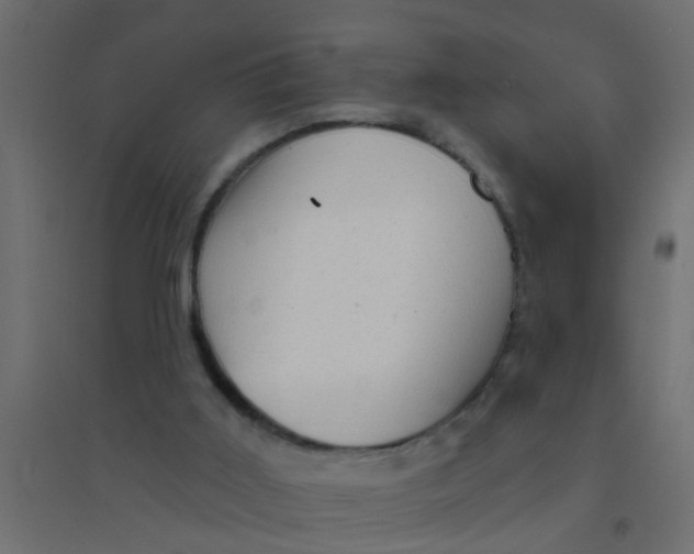 X0000094330011200711241839