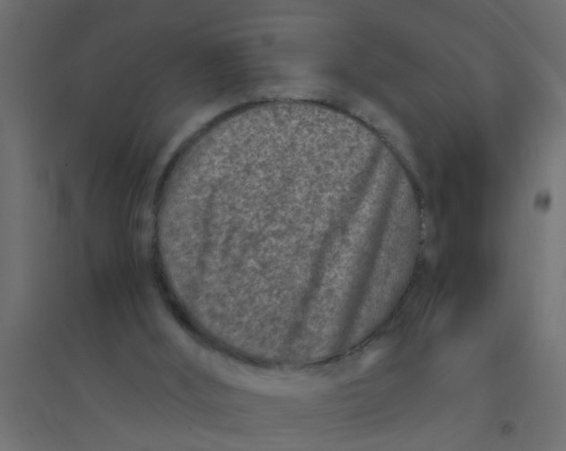 X0000094330012200711241839