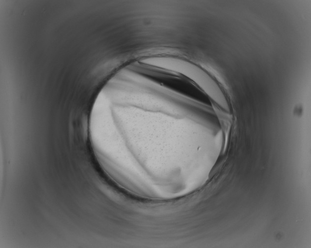 X0000094330013200711241839