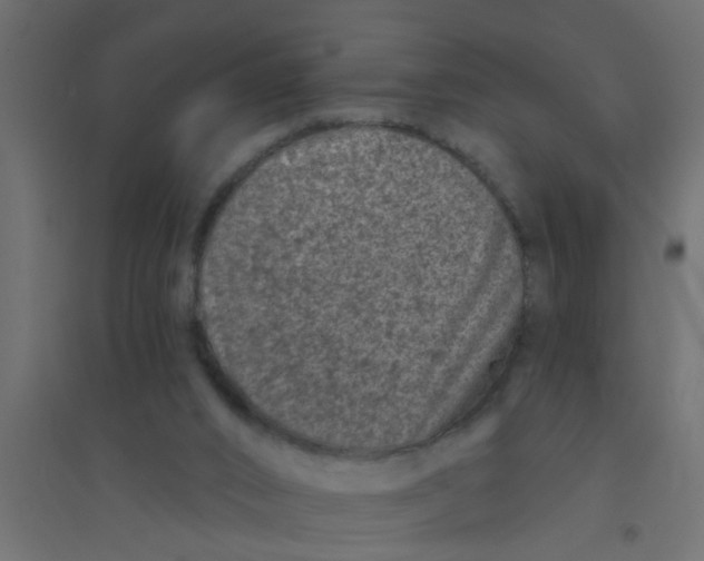 X0000094330016200711241839