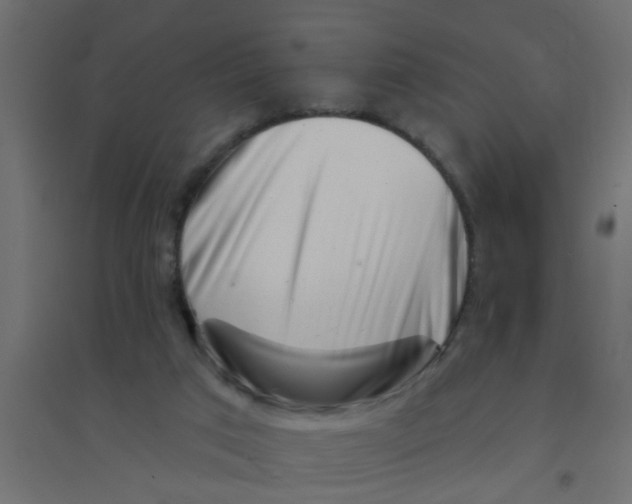 X0000094330017200711241839