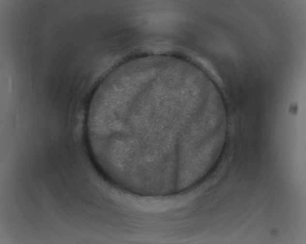 X0000094330018200711241839