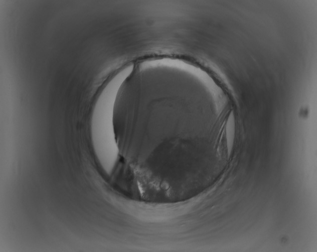 X0000094330019200711241839