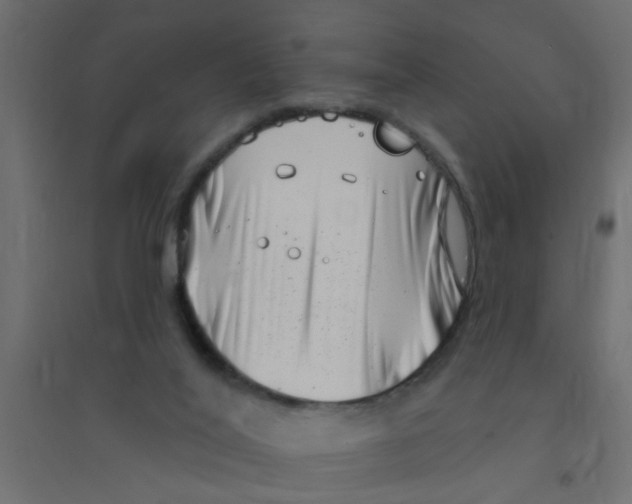 X0000094330020200711241839