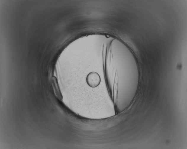 X0000094330021200711241839