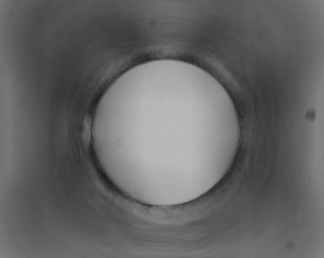 X0000094330022200711241839