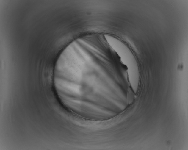 X0000094330023200711241839