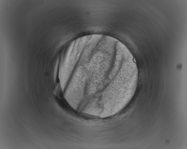 X0000094330024200711241839