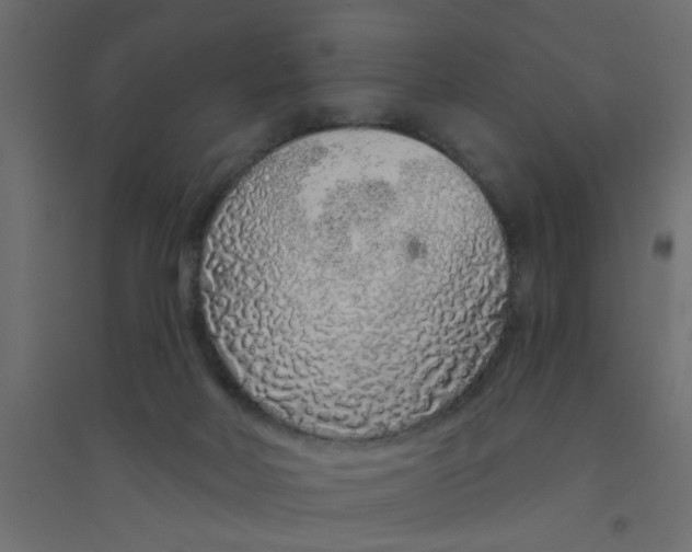 X0000094330026200711241839